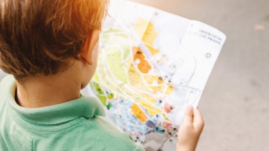 Photo Child, Education