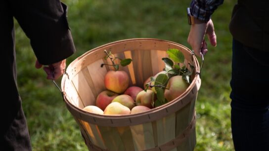 Photo Fruit basket
